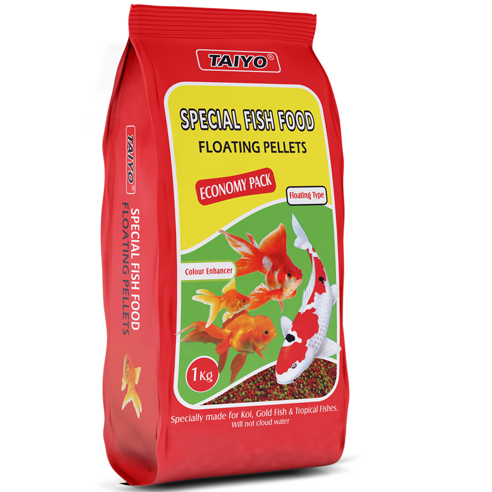 fishes foods